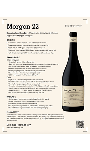 Domaine Jonathan Pey Morgon Bellevue Cru 2022 notes de dégustation pouce