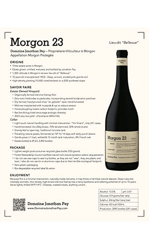 Domaine Jonathan Pey Morgon Bellevue Cru 2023 tasting notes thumb