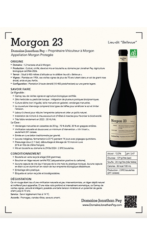 Domaine Jonathan Pey Morgon Bellevue Cru 2023 tasting notes thumb