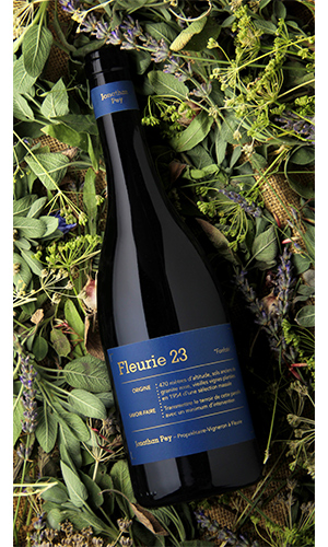 Domaine Jonathan Pey Fleurie Fonfotin Cru 2023 Beauty Image thumb