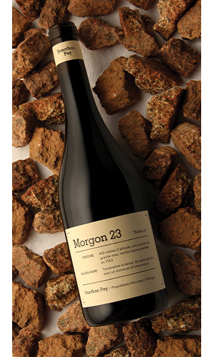Domaine Jonathan Pey Morgon Bellevue Cru 2023 Beauty Image thumb